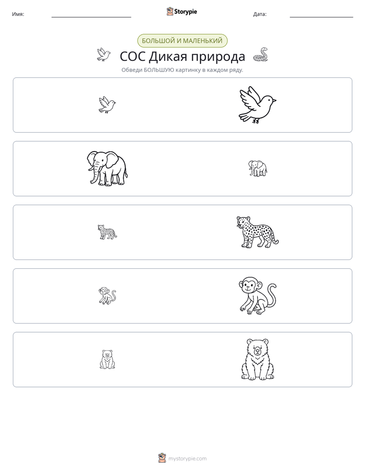 Сортировка