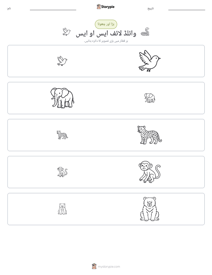 ترتیب دینا