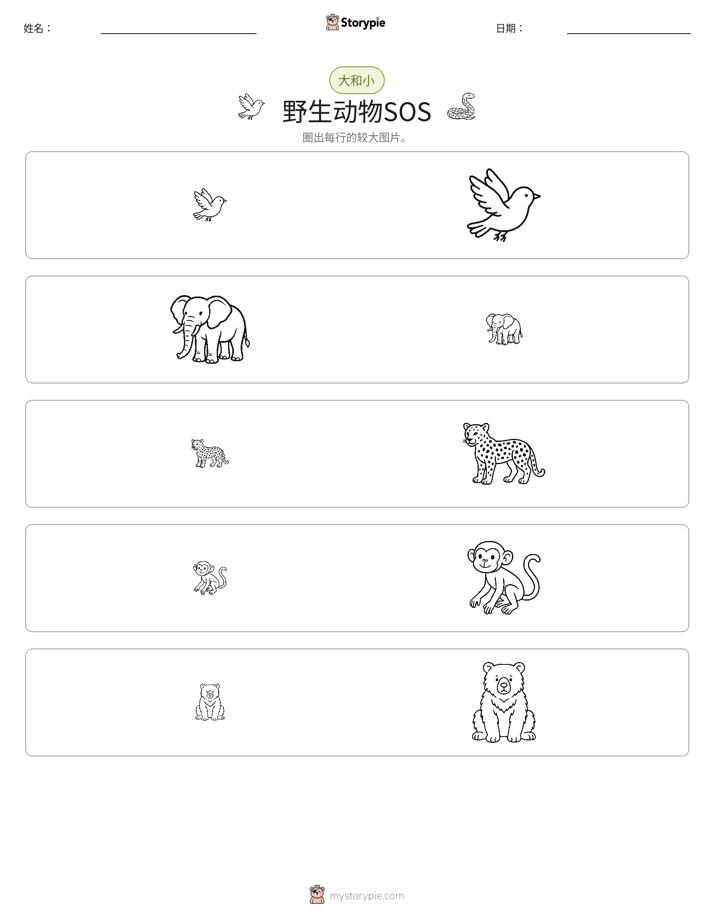 分类