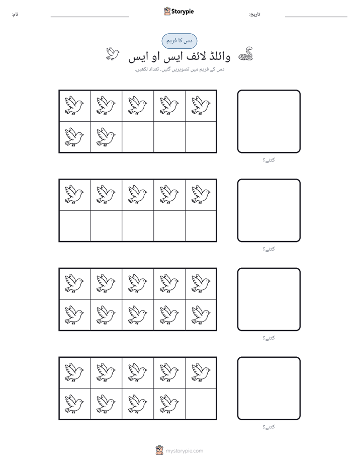 دس کا فریم