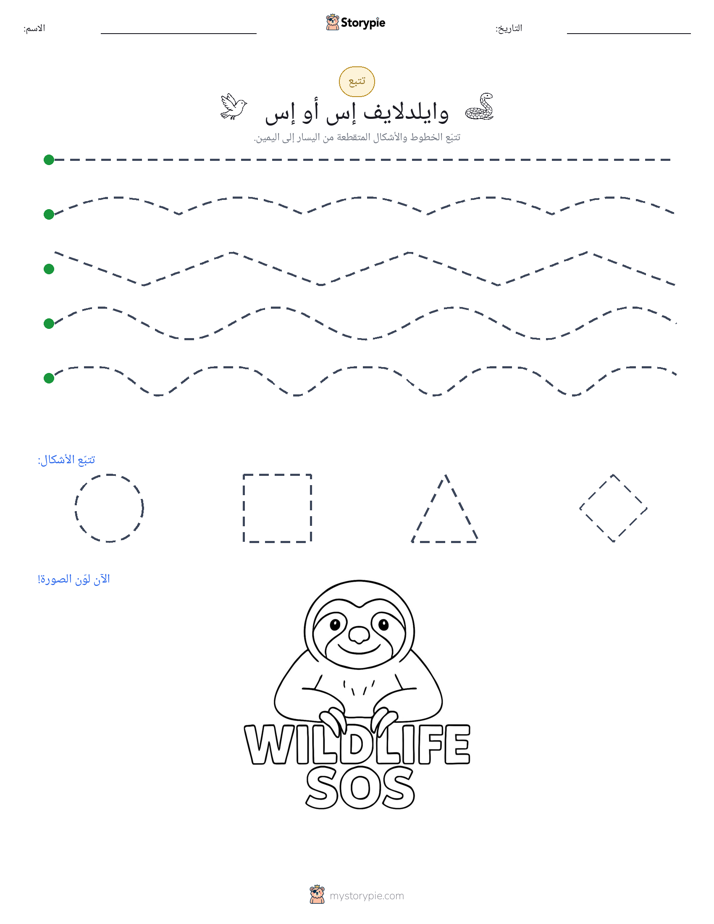 تتبع