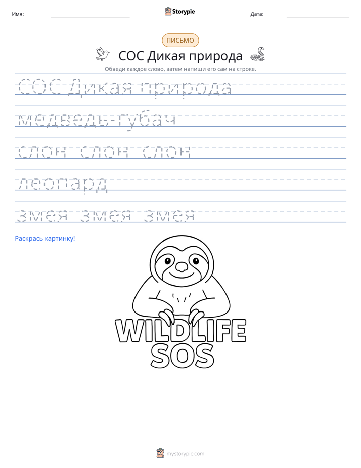 Практика письма