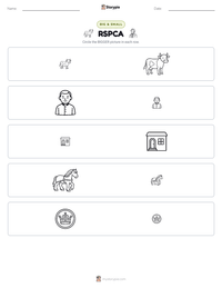 RSPCA printable worksheet preview