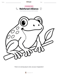 Rainforest Alliance printable worksheet preview