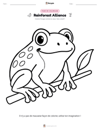 Aperçu de la feuille de travail imprimable Rainforest Alliance