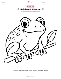 Rainforest Alliance afdrukbare werkblad voorbeeld