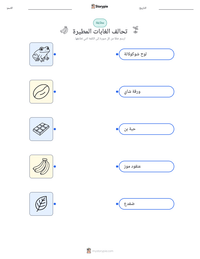 معاينة ورقة العمل القابلة للطباعة تحالف الغابات المطيرة