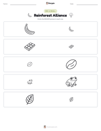 Rainforest Alliance printable worksheet preview