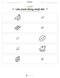 Xem trước tài liệu in sẵn Liên minh Rừng nhiệt đới
