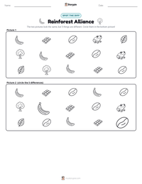 Rainforest Alliance printable worksheet preview