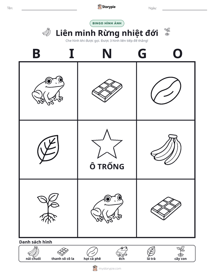 Bingo Hình Ảnh