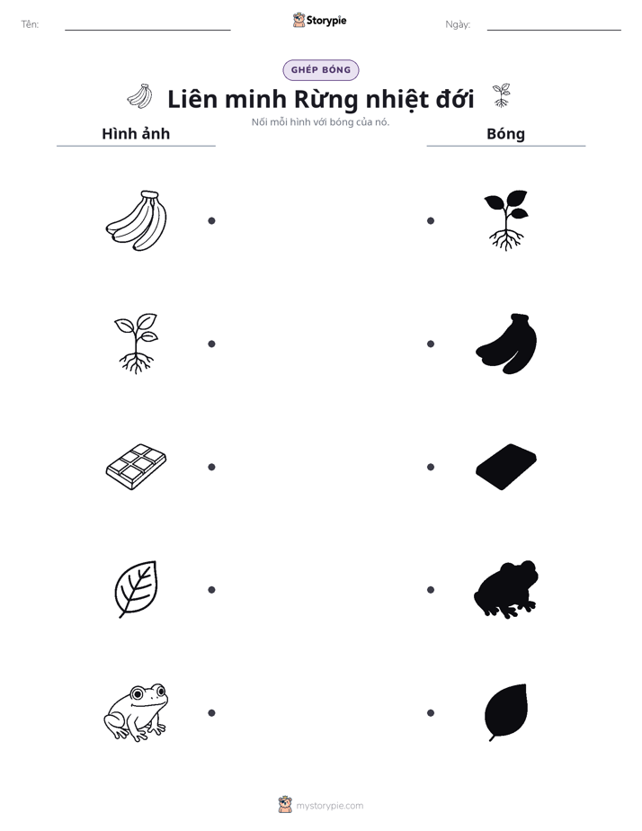 Ghép Hình Bóng