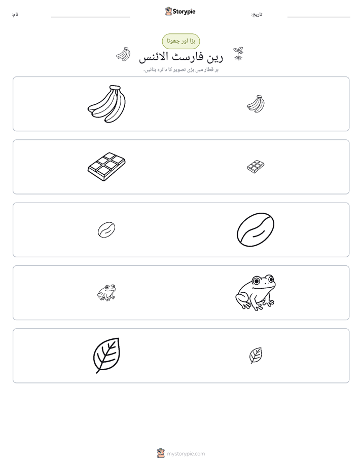 ترتیب دینا