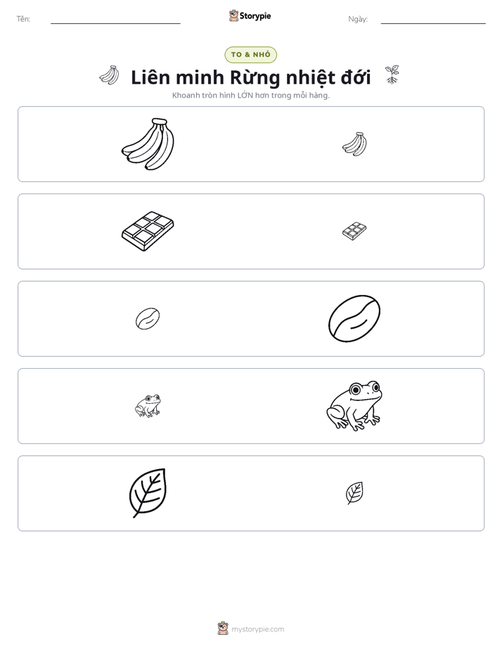 Phân Loại