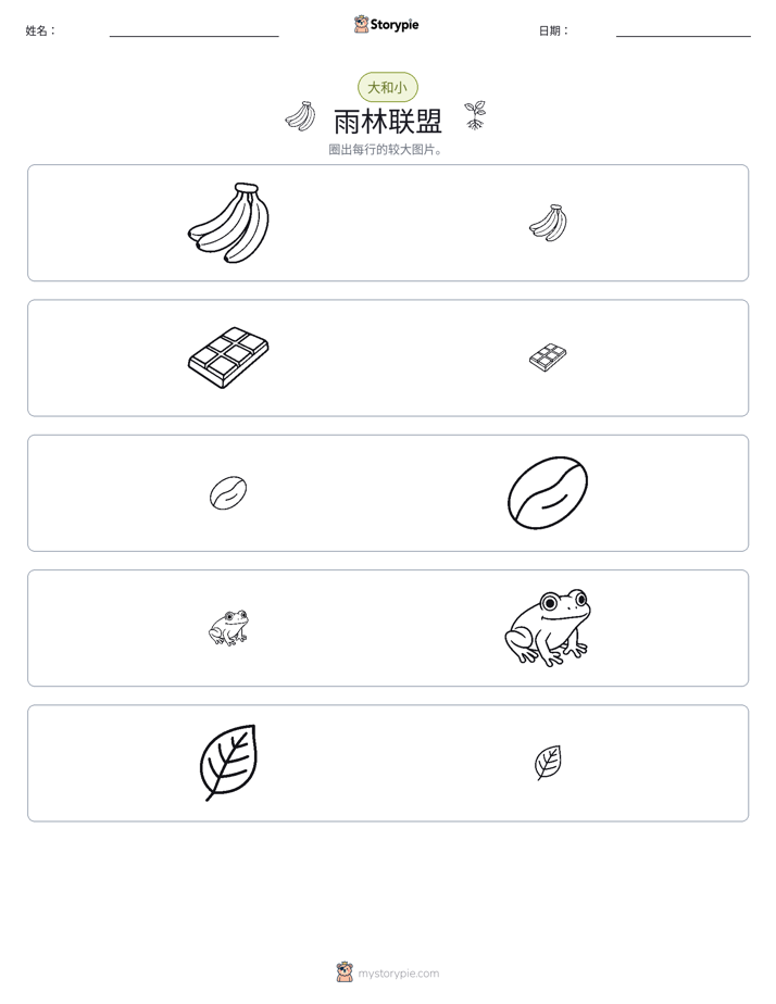 分类
