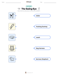 The Seeing Eye printable worksheet preview