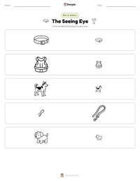 The Seeing Eye printable worksheet preview