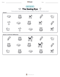 The Seeing Eye printable worksheet preview