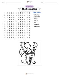 The Seeing Eye printable worksheet preview