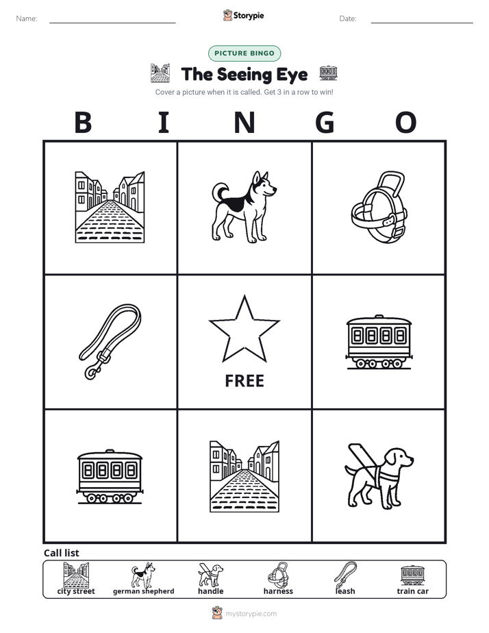 Picture Bingo