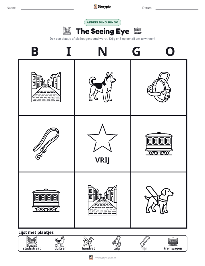 Afbeelding Bingo