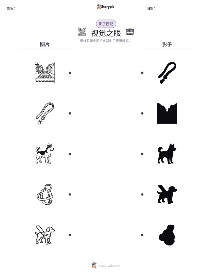 影子匹配