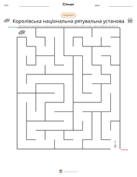 Королівська національна рятувальна установа попередній перегляд роздруківки