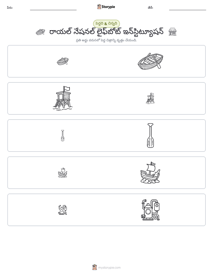 వర్గీకరణ