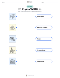 Projeto TAMAR printable worksheet preview