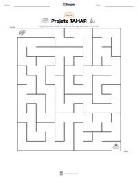 Projeto TAMAR printable worksheet preview
