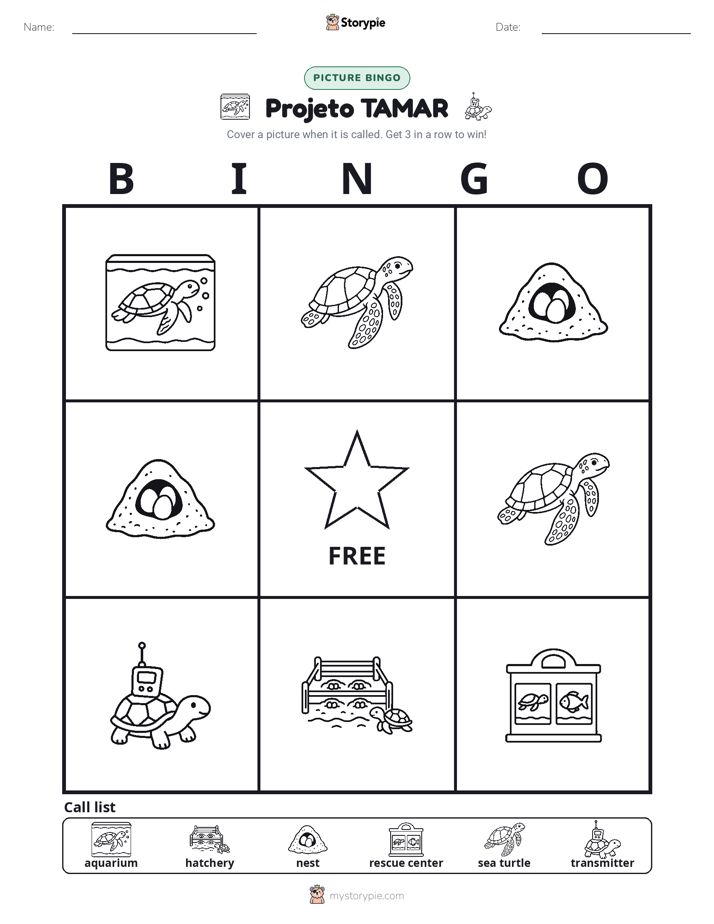Picture Bingo