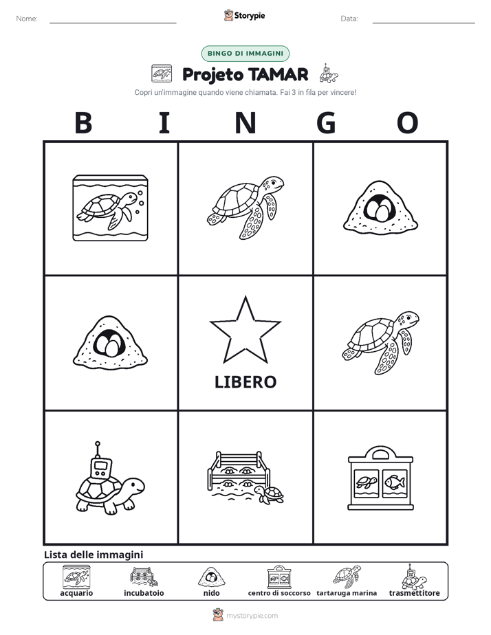 Bingo delle Immagini