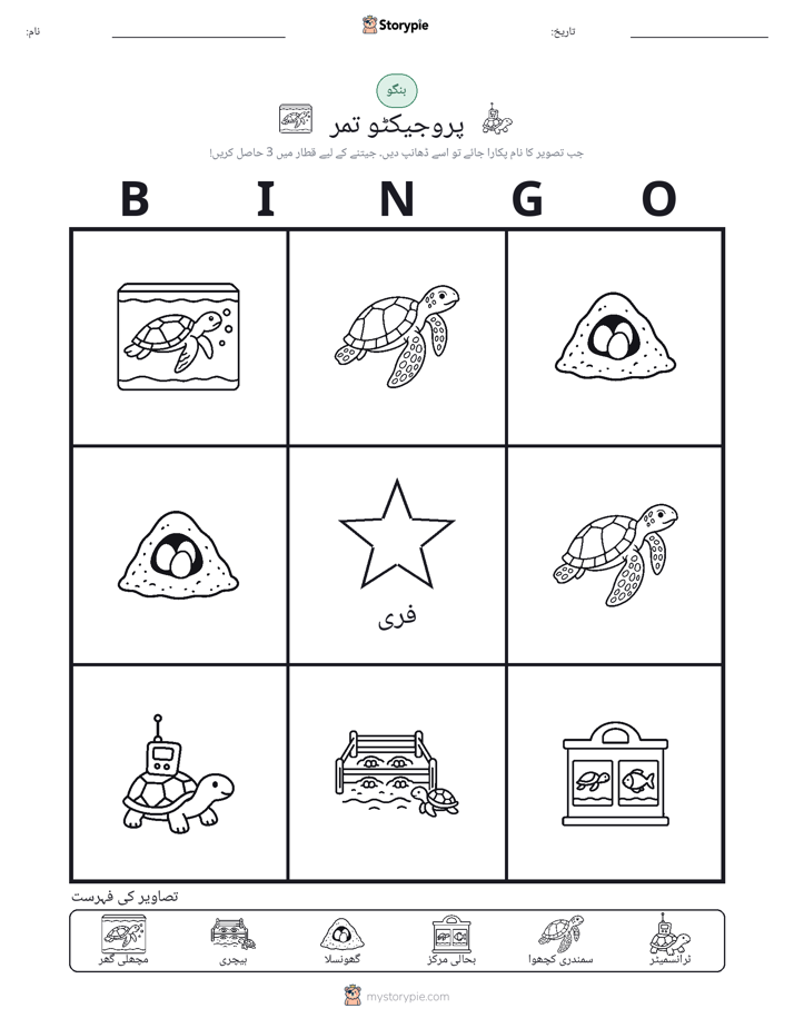 تصویری بنگو