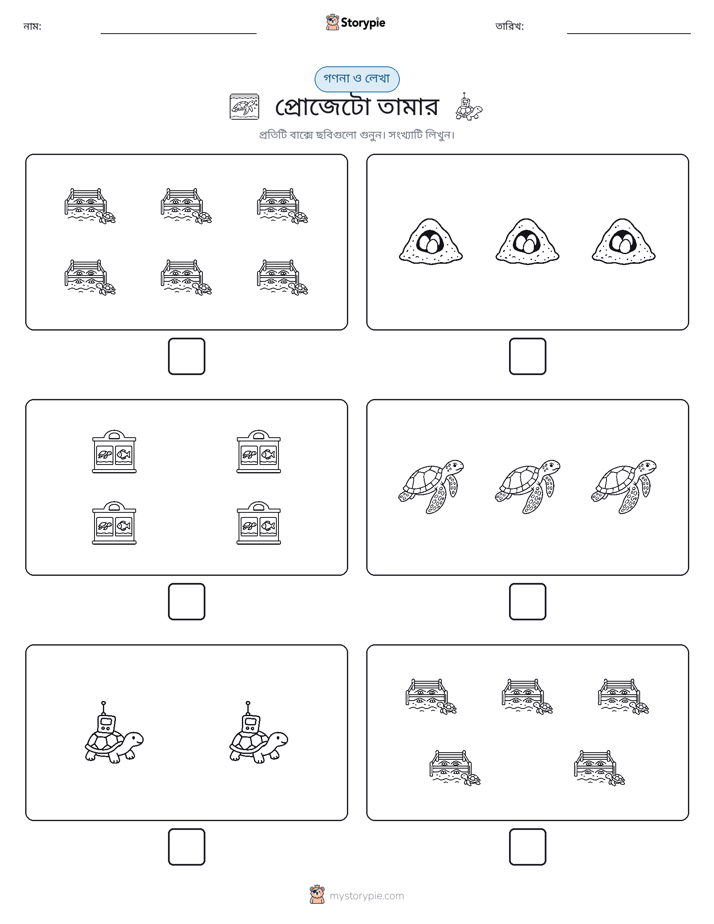 গণনা & লিখুন