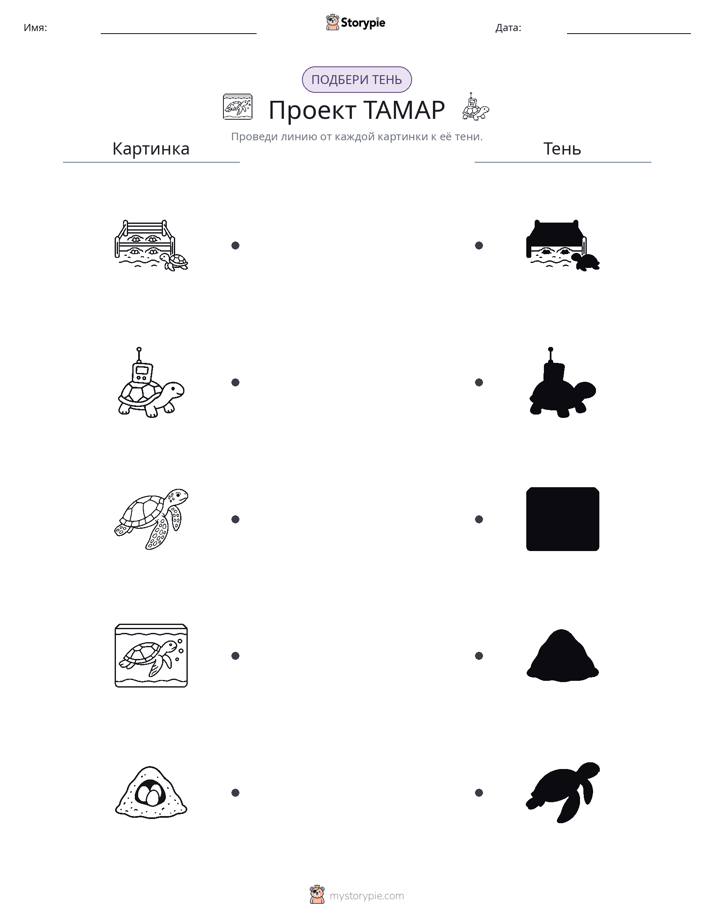 Сопоставление теней