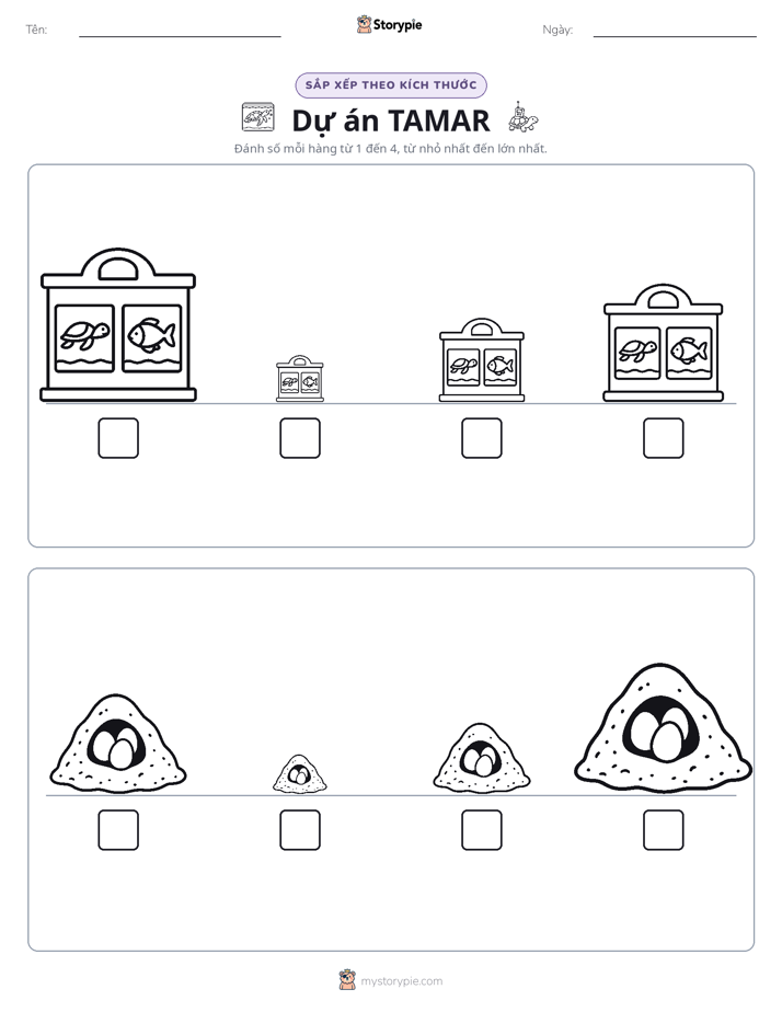 Thứ Tự Kích Thước