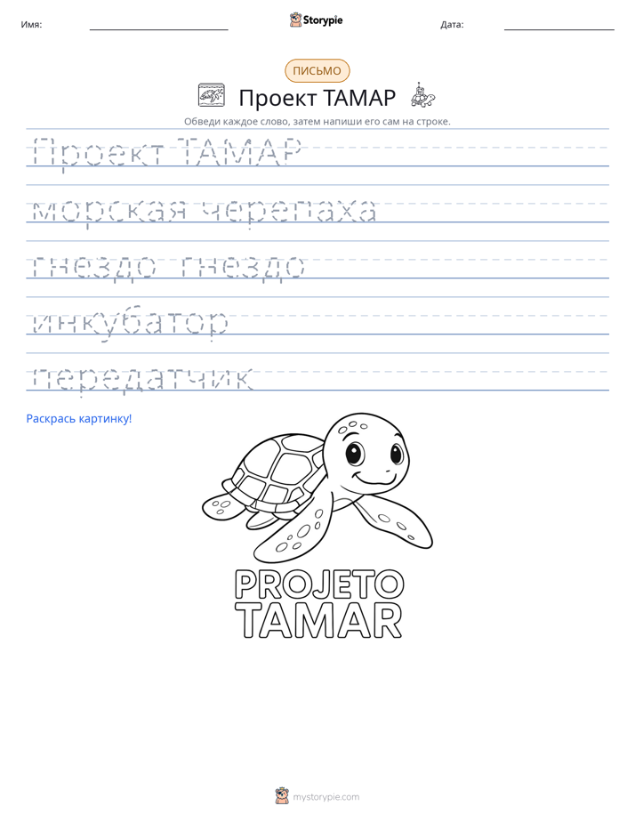 Практика письма