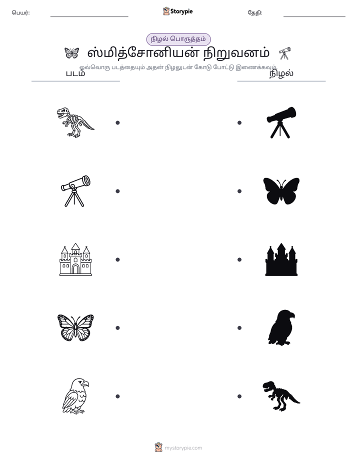 நிழல் பொருத்தம்
