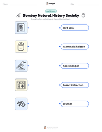 Bombay Natural History Society printable worksheet preview