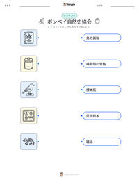 ボンベイ自然史協会 の印刷可能ワークシートプレビュー