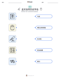 孟买自然历史学会 可打印工作表预览
