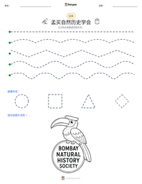 孟买自然历史学会 可打印工作表预览