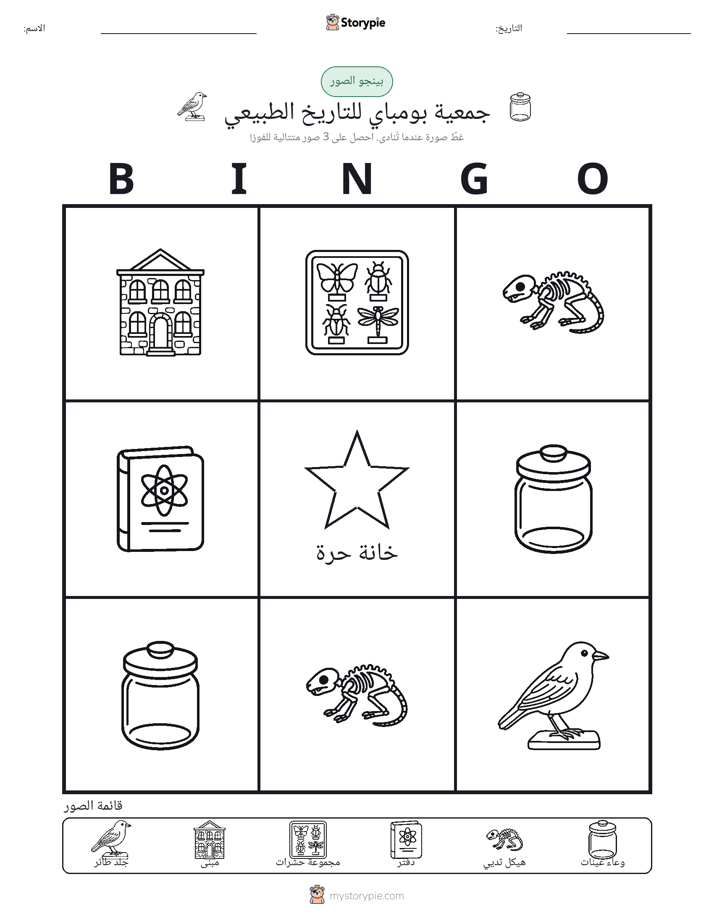 بينغو الصور
