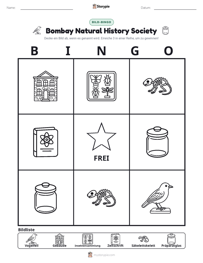 Bild-Bingo