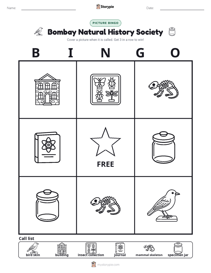 Picture Bingo