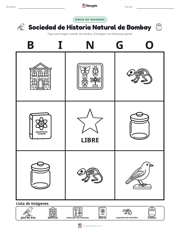 Bingo de Imágenes