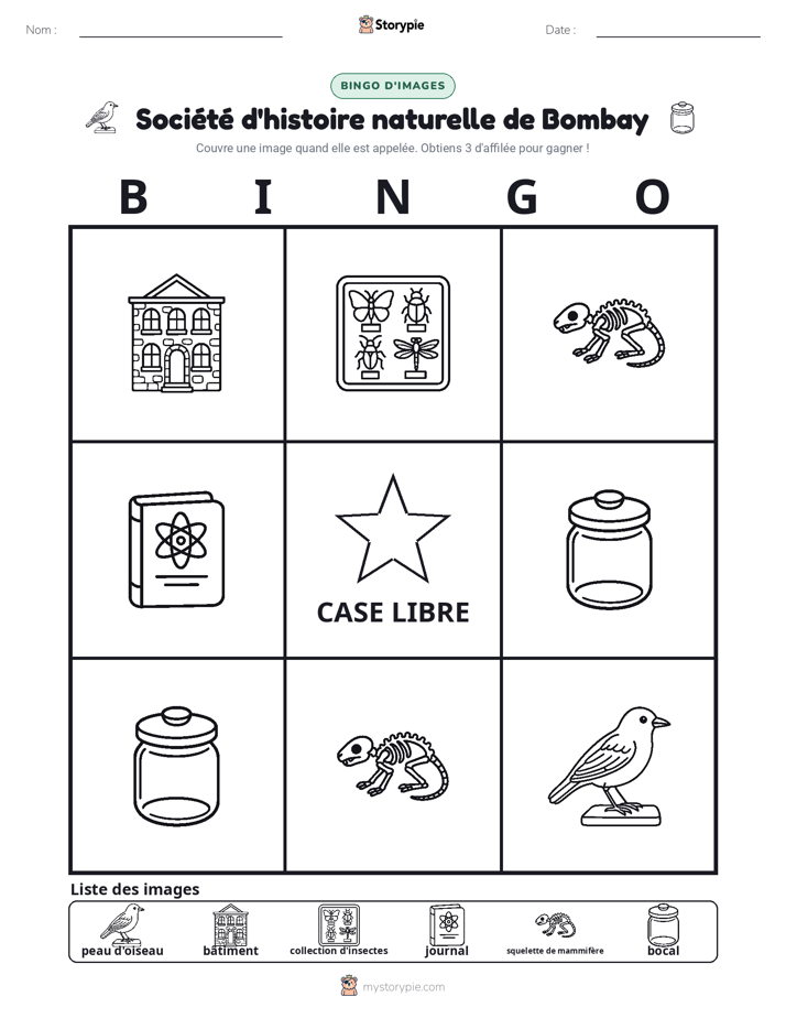 Bingo d'Images