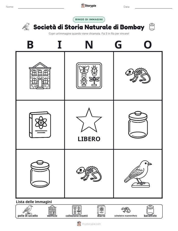 Bingo delle Immagini