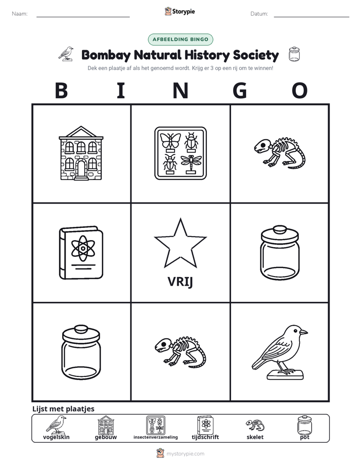 Afbeelding Bingo