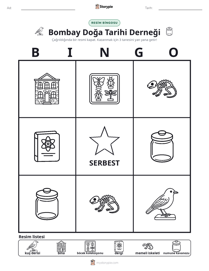 Resim Bingo